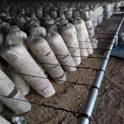 2.6mm Greenhouse Polyester Wire Shading Net Support In Vineyards Orchards
